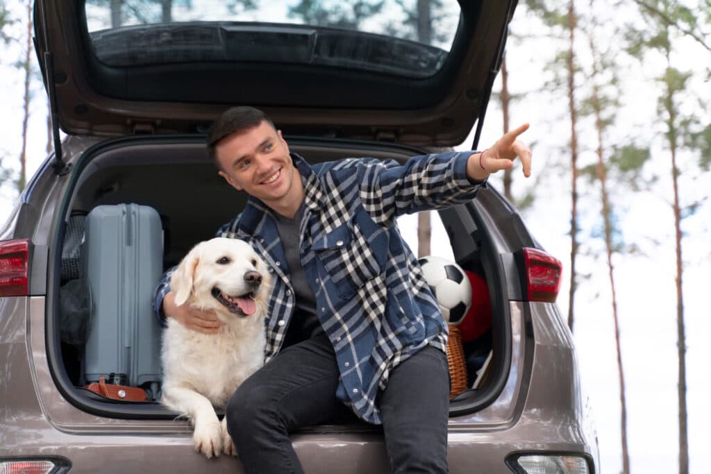 Traveling Long Distances With Your Dog? Here’s How to Make It Easier